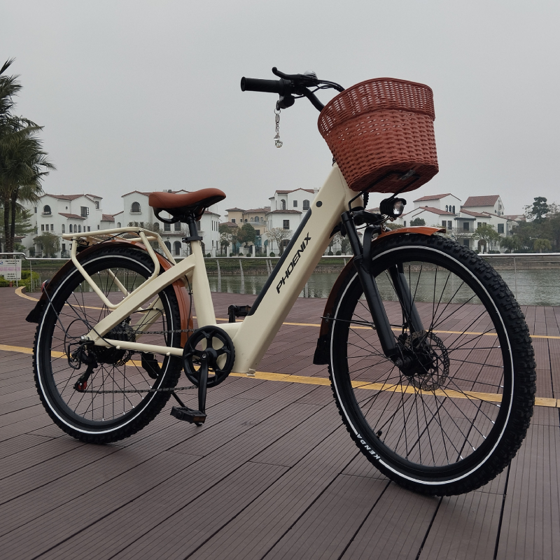 Xe đạp trợ lực điện Phoenix D2