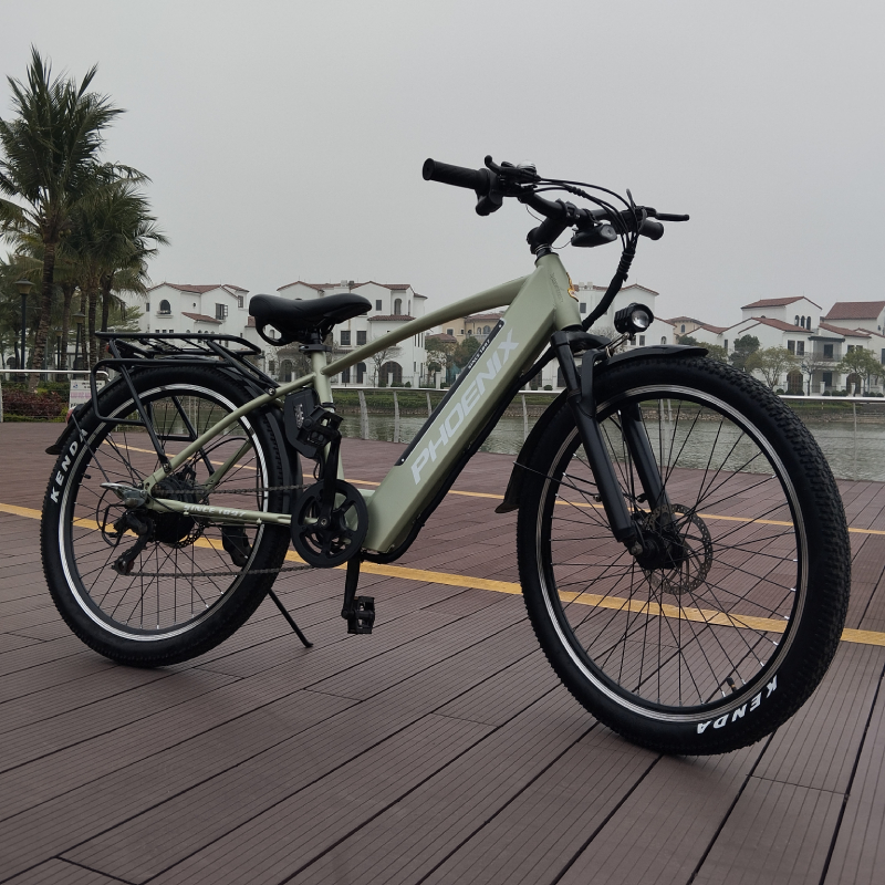 Xe đạp trợ lực điện Phoenix G2